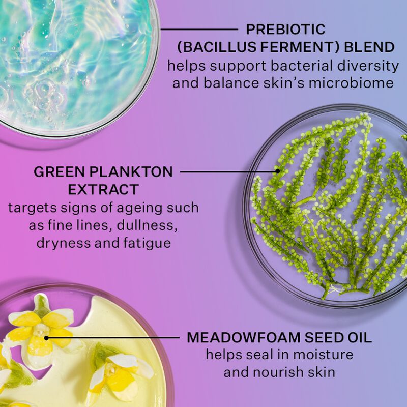 Prebiotic Blend helps support bacterial diversity and balance skin's microbiome, Green Plankton Extract targets signs of ageing such as dullness, fine lines, dryness and fatigue and Meadowfoam Seed Oil helps seal in moisture and nourish skin